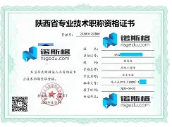 巖土工程師證含金量巖土類工程師有哪些證 第2張 巖土工程師證含金量巖土類工程師有哪些證 第2張