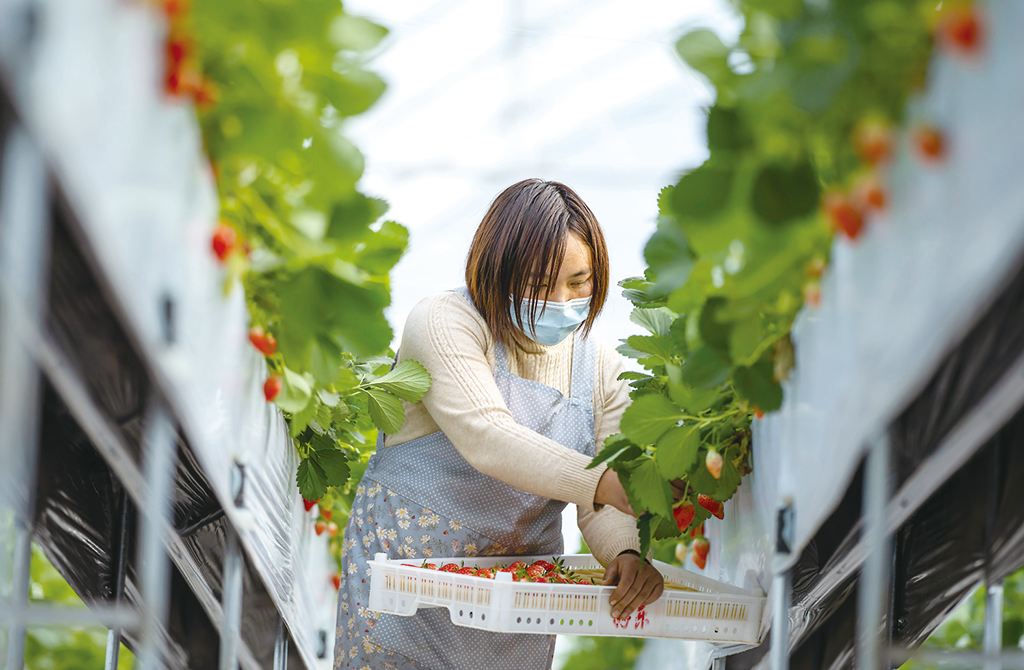 安徽二級建造師證書領取,安徽省2022年二級建造師報考條件 第2張 安徽二級建造師證書領取,安徽省2022年二級建造師報考條件 第2張